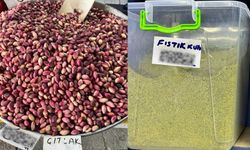 Kahramanmaraş’ta Taze Fıstık Ucuzladı, Fıstık İçi Cep Yakıyor