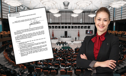 Milletvekili Karakoç, orta hasarlı binalardaki hak ihlallerini meclise taşıdı