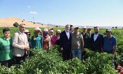 Başkan Görgel; “Coğrafi İşaretli Maraş Biberimizin Hasadı Bereketli Olsun”