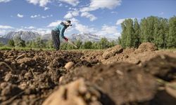 Çiftçilere 4,5 milyar liralık destekleme ödemesi yapılacak