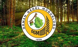 Orman Genel Müdürlüğü 262 daimi işçi alacak