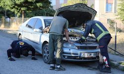 Köpeklerden kaçan su samuru otomobilin kaputuna sığındı