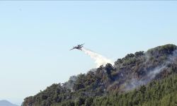 Üç ilde orman yangınlarına müdahale sürüyor