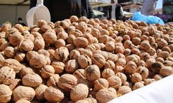 Kahramanmaraşlılar dikkat, eski mahsul ceviz yeni diye satılıyor