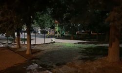Uygunsuz hareketlerde bulunan çifti uyardı, kaskla öldürüldü
