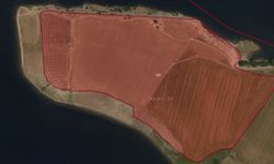 Onikişubat’ta tarla ve zeytinlik satışa çıkıyor