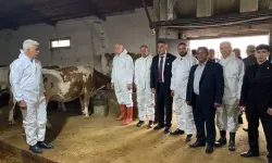 Bayraktar: Şap hastalığından mağdur olan işletmelere destek verilmeli