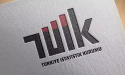 TÜİK: Sanayi sektörü 1,7 milyon terajul enerji kullandı