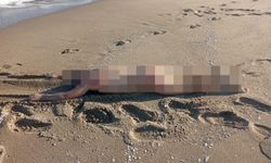 Sahilde çıplak erkek c*sedi bulundu