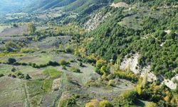 Kahramanmaraş’ta Ormanlar Renk Cümbüşüne Büründü