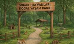 Kahramanmaraş Türkiye’de bir ilke imza attı