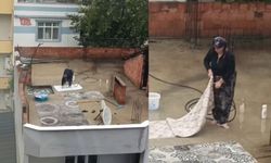 Yağmurlu havada çatıda halı yıkadı, görenler şaştı kaldı
