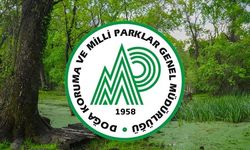 Doğa Koruma ve Milli Parklar Genel Müdürlüğü 240 Personel Alacak