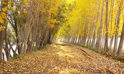 Kahramanmaraş’ta Sonbaharın En Göz Alıcı Noktası