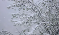 Kahramanmaraş-Kayseri yoluna sezonun ilk karı düştü
