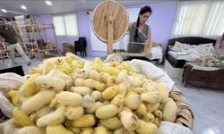 Depremden kurtardığı böcek yumurtalarına tescil kazandırdı