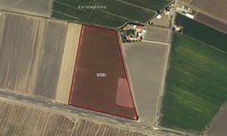 Kahramanmaraş’ta 7 milyonluk dev tarla satışa çıktı