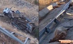 Hayvan taşıyan kamyon şarampole yuvarlandı