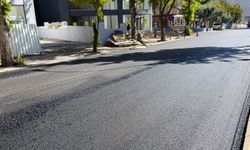 Büyükşehir, Yolları Bir Bir Sıcak Asfaltla Buluşturuyor
