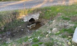 Boş arazide bebek c*sedi bulundu