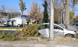 Ağaca çarpan otomobil ikiye bölündü: 2 ölü 1 yaralı