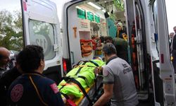 Mantar toplarken ayının saldırısına uğrayan imam yaralandı