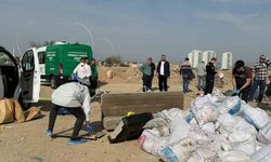 Öldürüp tuzlayıp halıya sarıp çekyatla attılar