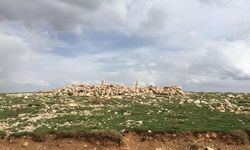 Ahır Dağı’nda Gizemli Durak