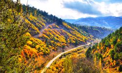 Kahramanmaraş’ta bu manzaralar görenleri büyülüyor