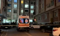 Yüksek dozlu ilaçlama iddiası: 1'i bebek 7 kişi zehirlendi