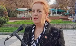 'Türkiye'de diş hekimine gitme sıklığı yılda 0,68'