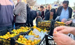 Üreticiler, alıcı çıkmayan tonlarca mandalinayı ücretsiz dağıttı