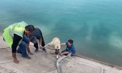 Kahraman anne Fırat'a düşen kangalı böyle kurtardı