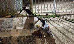 Çarpışmanın etkisiyle başını kaldırıma vurdu, ağır yaralandı