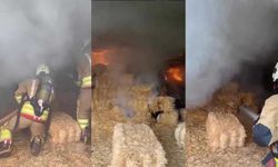 Kahramanmaraş’ta samanlık alev aldı, facianın eşiğinden dönüldü