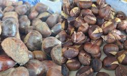 Kahramanmaraş’ta kestane sezonu açıldı, kilo fiyatı ne kadar?