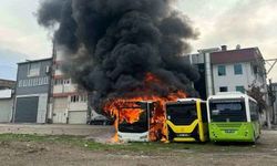 Park halindeki otobüsler cayır cayır yandı