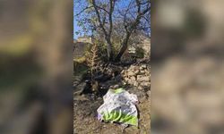 Bahçe temizliği facia ile sonuçlandı