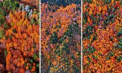 Geben Vadisi Milli Parkı, sonbahar renklerine büründü