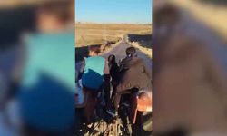 Yolculuklarını çekmek isterken, kendi kazalarını kaydettiler