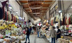 Kahramanmaraş’ta papatya çayı altınla yarışıyor