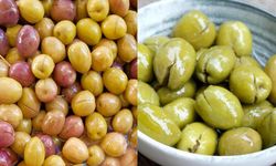 Kahramanmaraş’ta hangi zeytin tercih edilmeli? Kırma mı, çizme mi?