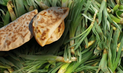 Kahramanmaraş mutfağının mucize bitkisi