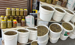 Kahramanmaraş’ta doğal salamura zeytin bu fiyata satılıyor