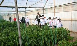 Kahramanmaraş’ta Çocuklar Tarım ve Kooperatifçilikle Buluştu