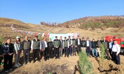 AK Parti Kahramanmaraş Teşkilatı, “Geleceğe Nefes İnsanlığa Nefes” diyerek, Fidanları Toprakla Buluşturdu