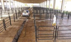 Canlı Hayvan Pazarı’nda Halk Sağlığı İçin Kapsamlı Çalışma