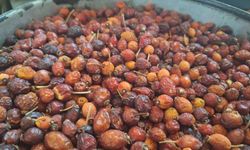 Kahramanmaraş’ta Kış Kapıda, Kuşburnu Tezgahlarda