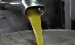 Maraş zeytinyağı mı, Hatay zeytinyağı mı? Hangi yağ daha iyi