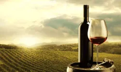 Kahramanmaraş’ta şarap üretiliyor mu?